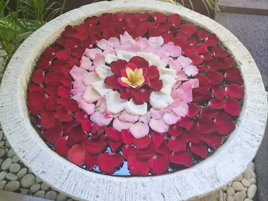 Lillies Guest Lodge in Butterworth